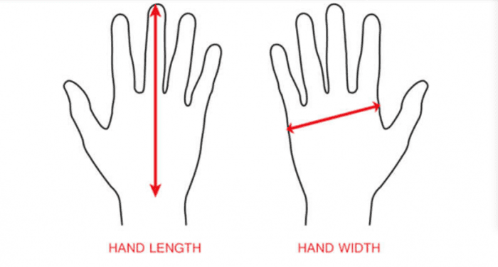 Chọn size găng tay y tế dựa theo chiều dài và chiều rộng bàn tay