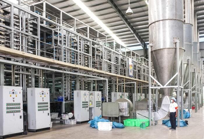 Hệ thống máy móc trong nhà máy sản xuất găng tay cao su xuất khẩu tại VRG Khải Hoàn