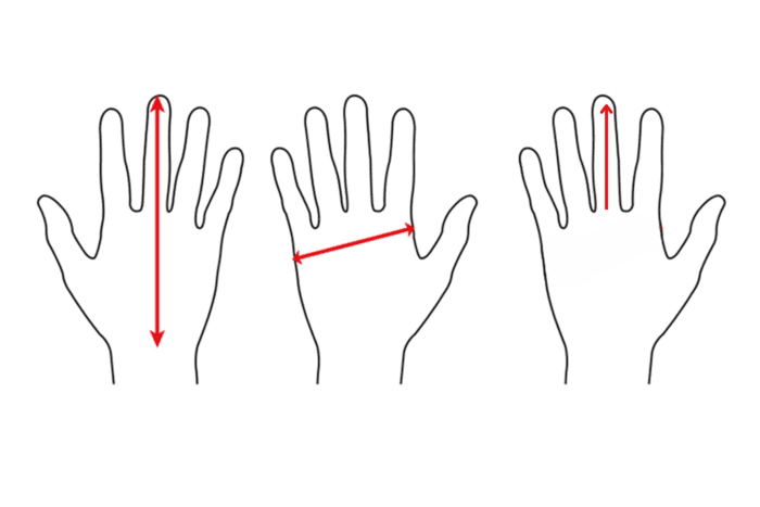 Cách đo chiều dài, chiều rộng bàn tay để chọn kích cỡ phù hợp khi mua găng tay phủ ngón