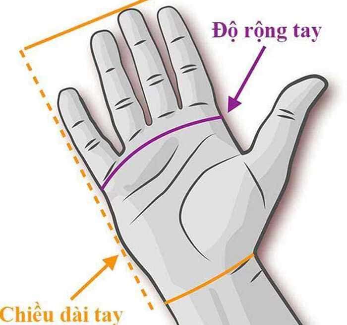 Người dùng nên đo chiều dài và chiều rộng bàn tay trước khi chọn cỡ găng tay Nitrile Malaysia (Nguồn: Sưu tầm)