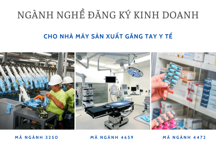 Các nhà máy sản xuất bao tay y tế cần được đăng ký kinh doanh một trong 3 mã ngành 3250, 4659 và 4472