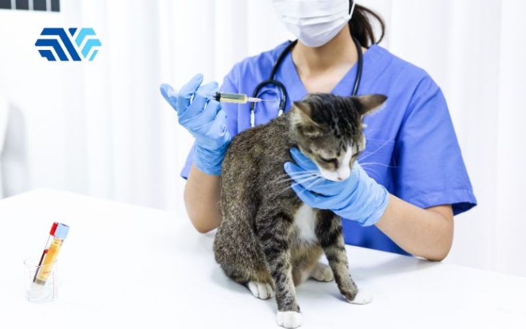 Tư vấn chọn găng tay cho phòng khám thú y đạt chuẩn y tế - Hình 2