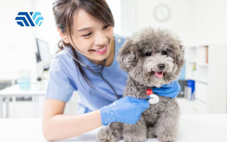 Tư vấn chọn găng tay cho phòng khám thú y đạt chuẩn y tế - Hình 1