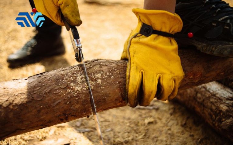 Găng tay chống cắt sợi thép là gì? Công dụng và cách lựa chọn đúng chuẩn - Hình 4