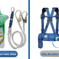 So sánh dây đai toàn thân và bán thân? Nên chọn loại nào cho công việc trên cao?