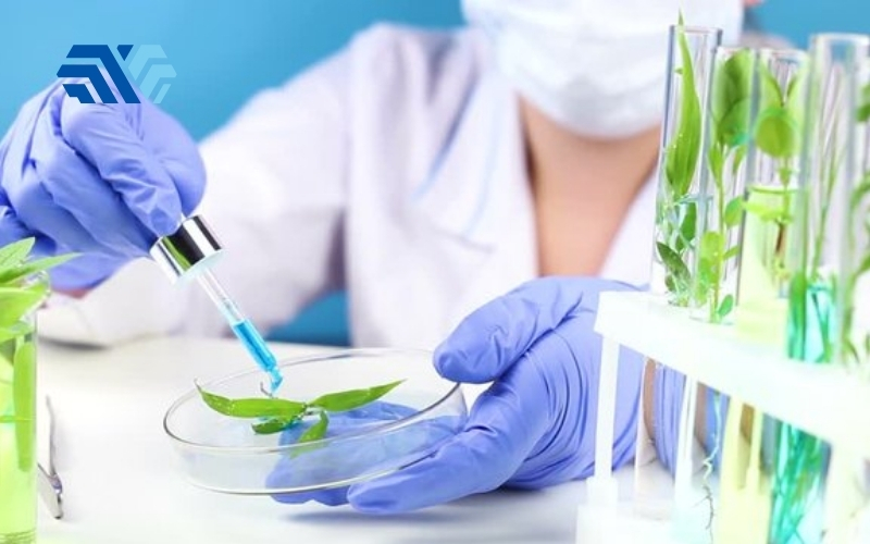 Mẹo sử dụng giấy lau phòng sạch tối ưu trong môi trường nghiên cứu và phòng thí nghiệm