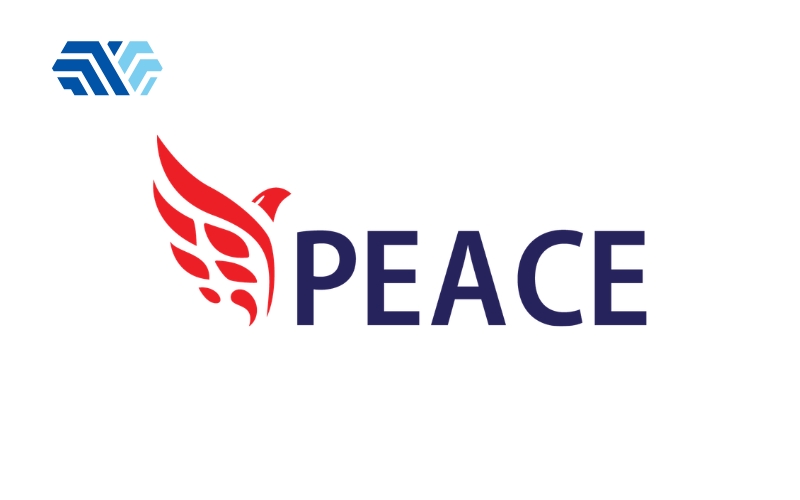 Top 5 địa chỉ mua khăn lau phòng sạch uy tín tại Hà Nội